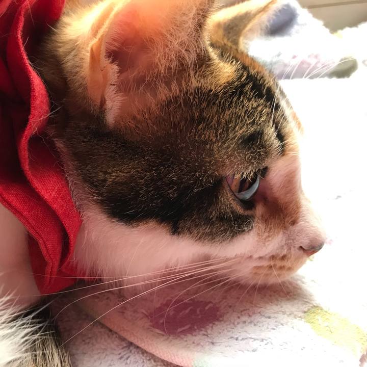 3139ce98 84a6 4af4 a681 3514e71d0f7e 1621150105770