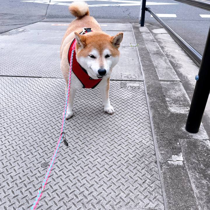 313a2906 753c 4bf6 a649 c0858459f874 1713228394208