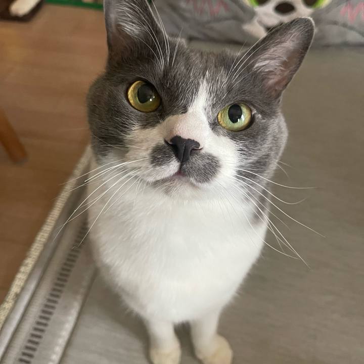 313a4397 87e7 41bf 8b6a 24c77a861181 1752976969380