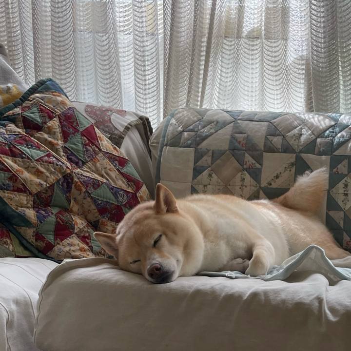 313a450d 348e 421a afa5 e628581152ef 1720573915874