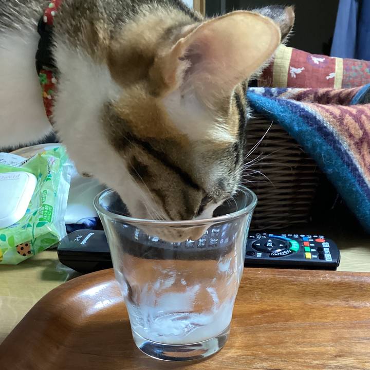 313a4f73 9aa1 4be3 9433 b7fcc5982182 1673331395493