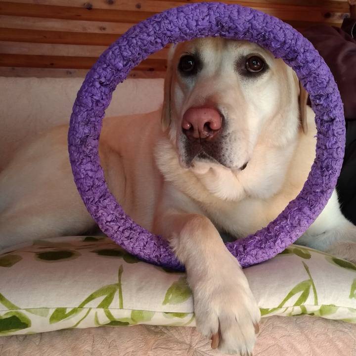 313a5388 b112 4ecc a3a7 dd7d04a707c1 1612324835317