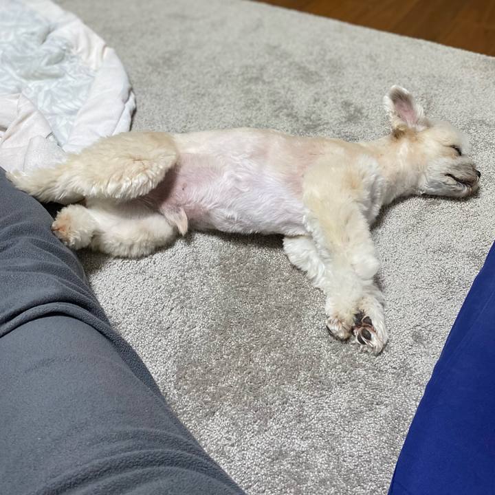 313a6041 b641 4564 b15a 286b7e44b59c 1678538821975