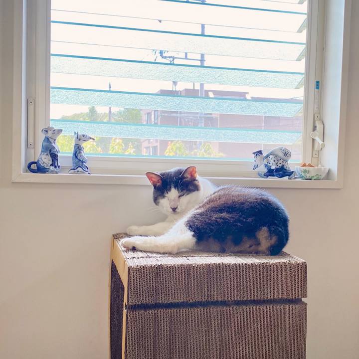 313a8a76 1f98 4365 9fed 5f675da7ba1f 1595729388451