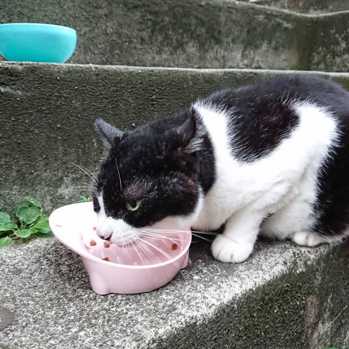 313ab38e f6b2 46e0 8961 66223d0283a0 1693988715963