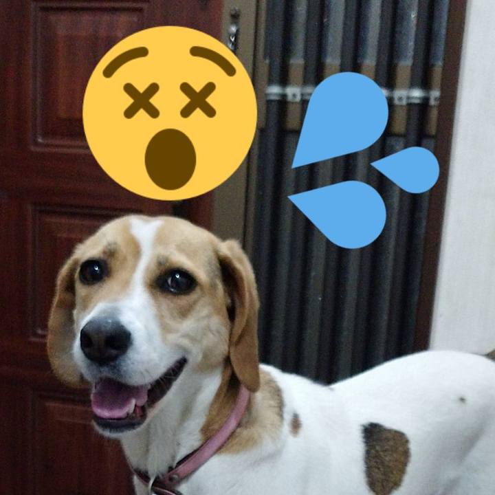 313ab8c8 0011 4f29 9e29 69921b99b0f7 1591186847400