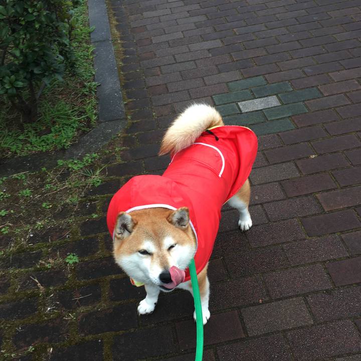 313abad8 6b38 44bf 9943 cef455553f2f 1606886868460