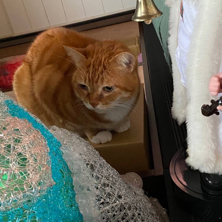 313ad701 bb38 4a6d a83b b1b9ea5aab0e 1577342729850