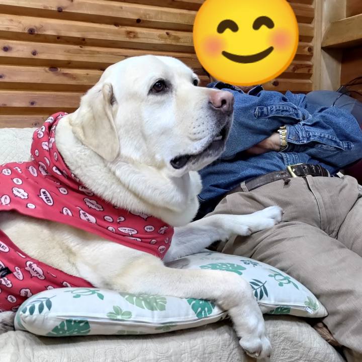 313adff5 565f 493c ace9 d3359e8fb546 1645788378846