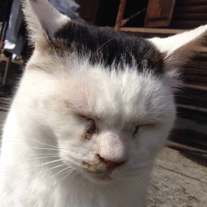 313aebe8 3a57 4900 b7dc 45d46fe38aff 1518324348200