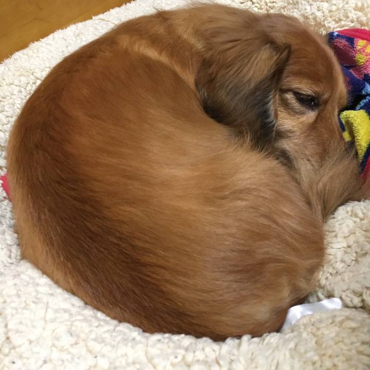 313b10b6 fca4 496a 977b 68ce87132658 1584186680549