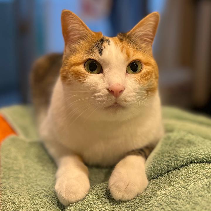 313b1b30 01c0 497d 81e0 7161ff9678ad 1761255030630