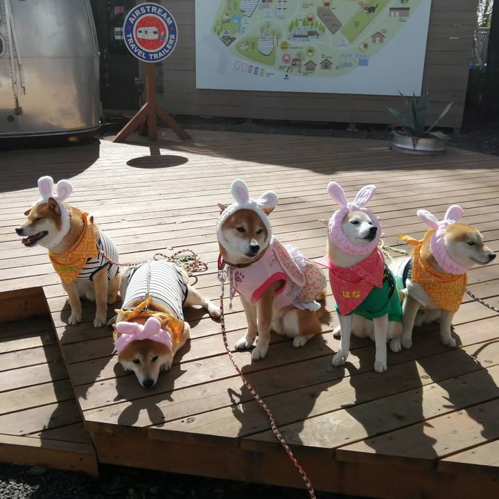 313b40dc b805 4d30 8491 2e4fa3754079 1650183300638