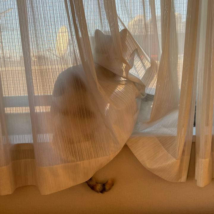 313b4f14 09c3 4225 9606 57c0cb09bc1a 1638014268381