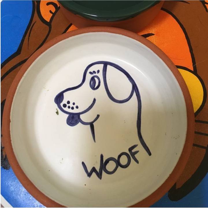 313b5c1e de1d 441c 9a53 ef306a58412c 1764840209877