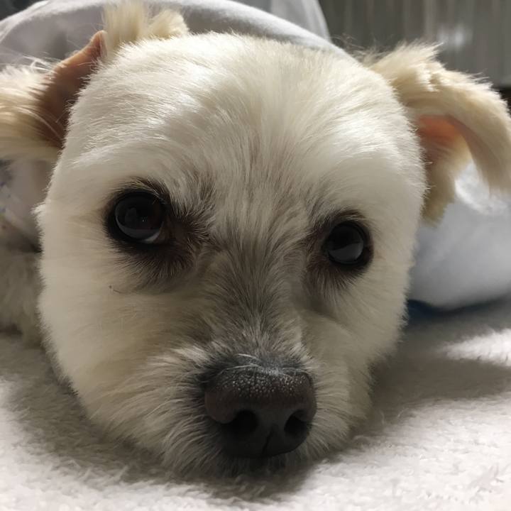 313b6547 e850 4567 b397 6110eb866a15 1536967433854