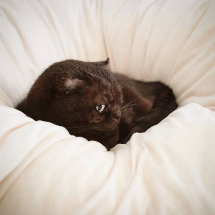 313b69ad 4467 4520 b1bc 0acc90729bf2 1608253686388