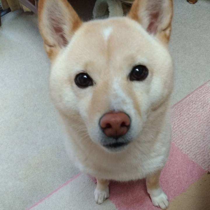 313b8001 c5d3 49d5 a9a0 86c8a272c585 1583795480140