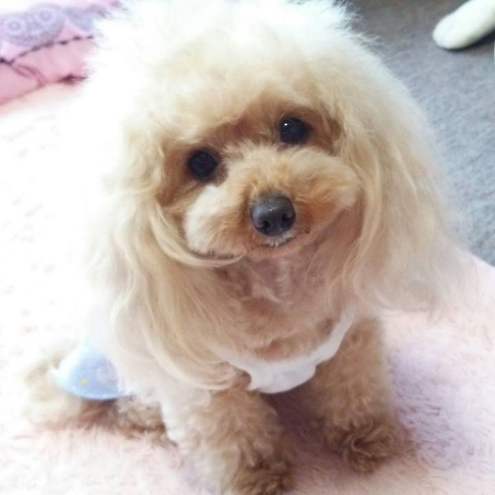 313bab70 62f3 4ddf 90c2 c64830c15631 1559049227617