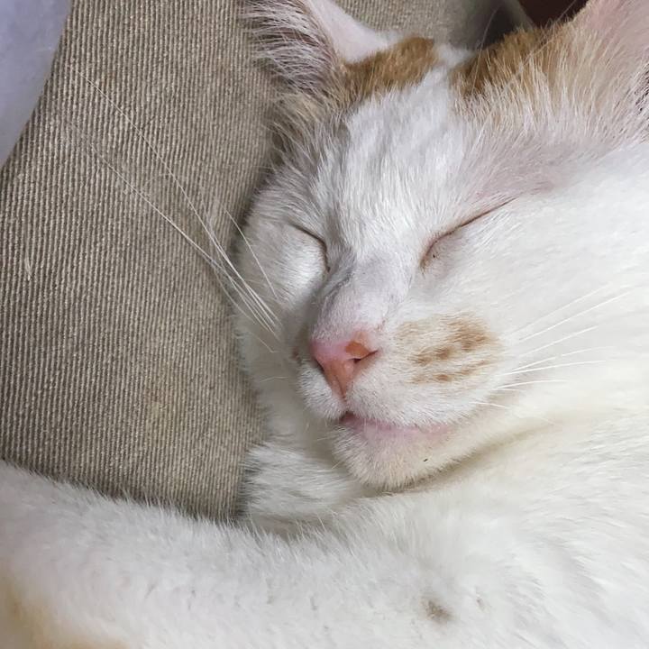 313bbeea 42fe 47cf 8e7c 515287a14724 1589366605559