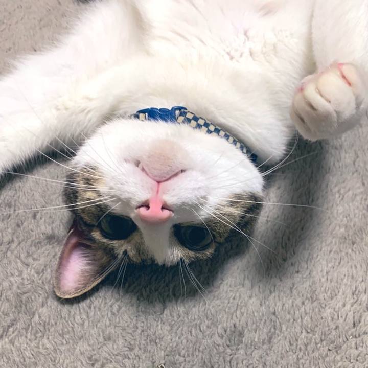 313bdc09 f9c2 4f8c 907b 06ea44837247 1575383502241