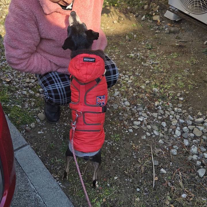 313bebe3 f9f8 4174 aa4c f4bff53873d7 1768180569606