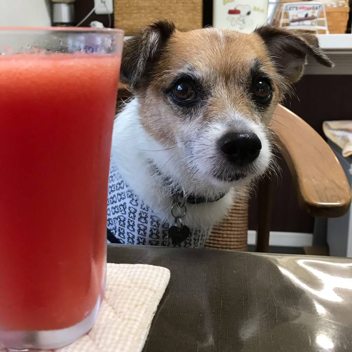 313c0490 4bd0 4a8b ba83 bc6ed6b5de08 1565330429056