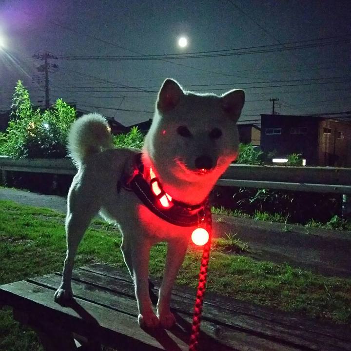 313c05ff ecfc 41ce 9e89 0b49310ca064 1598958609097