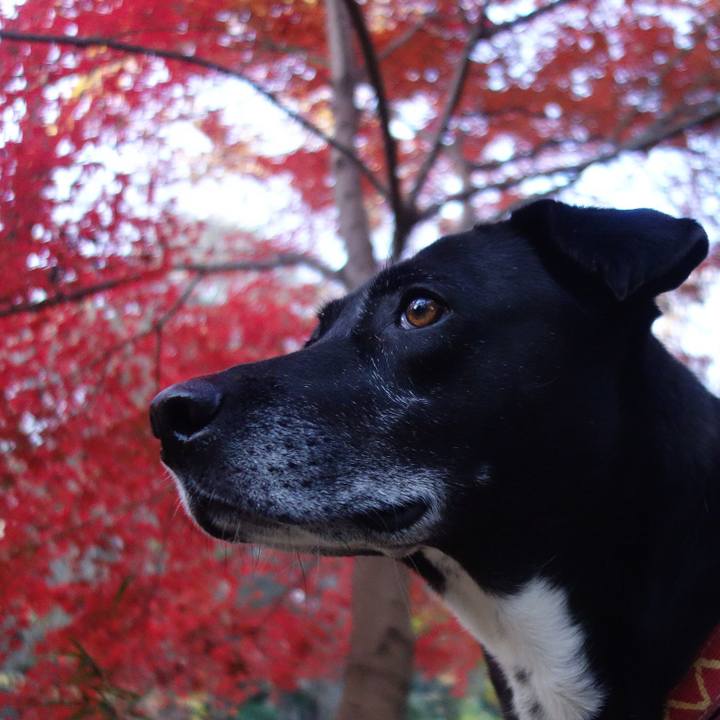 313c24ba 1ec8 443b 811e 5209c3145cd1 1702168873663