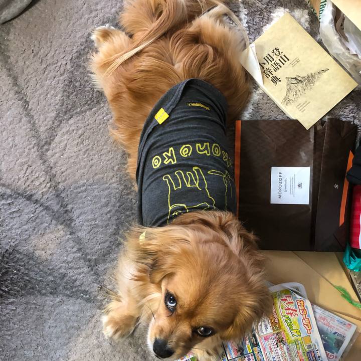 313c2c9f fb91 44a0 8daf 36c8bcf583ac 1553298738880