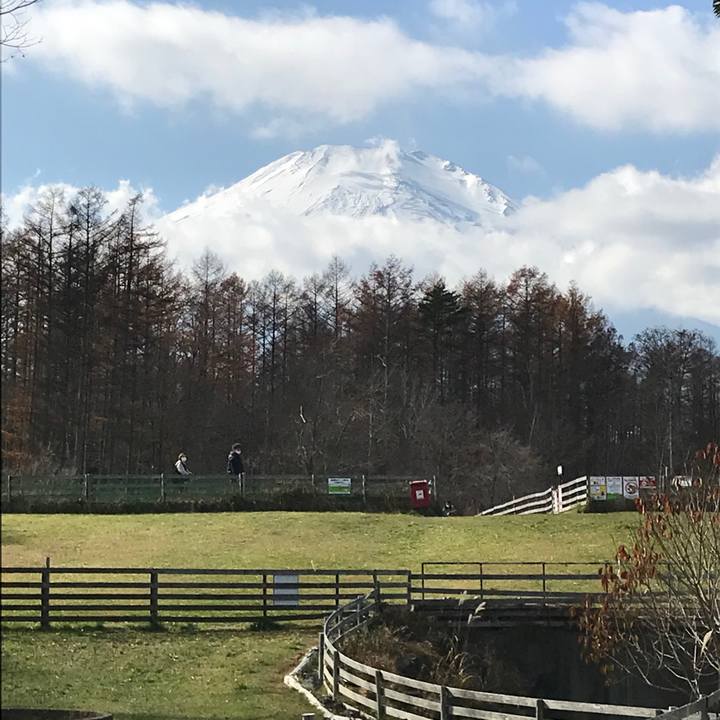 313c32c0 5236 4108 9023 1dd3f630e887 1637408452465