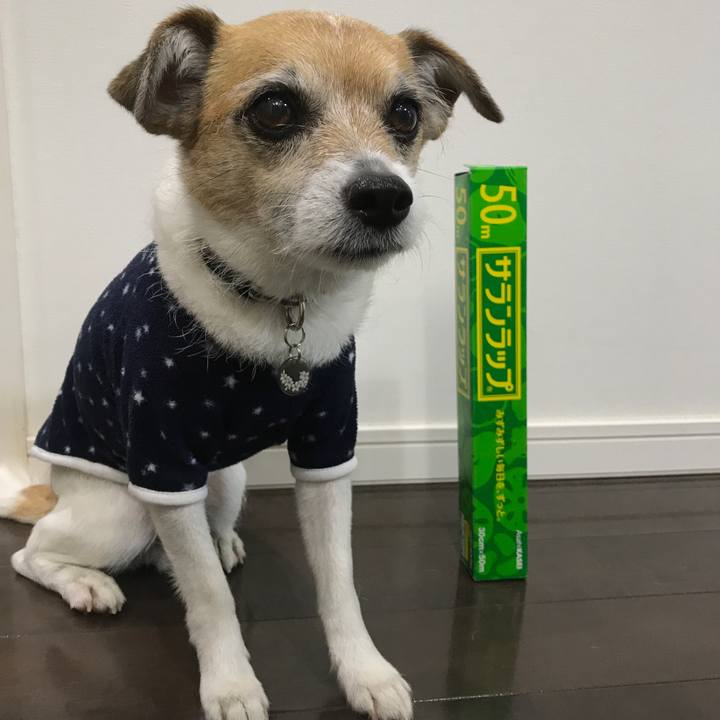 313c418c 7b80 4bfe 806d 0dc39f48f477 1585397129153