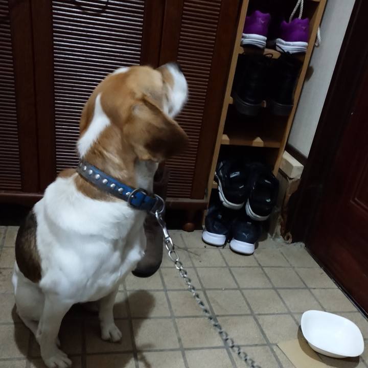 313c6845 12fb 4e8a 9f41 e23c273e789f 1612614989432