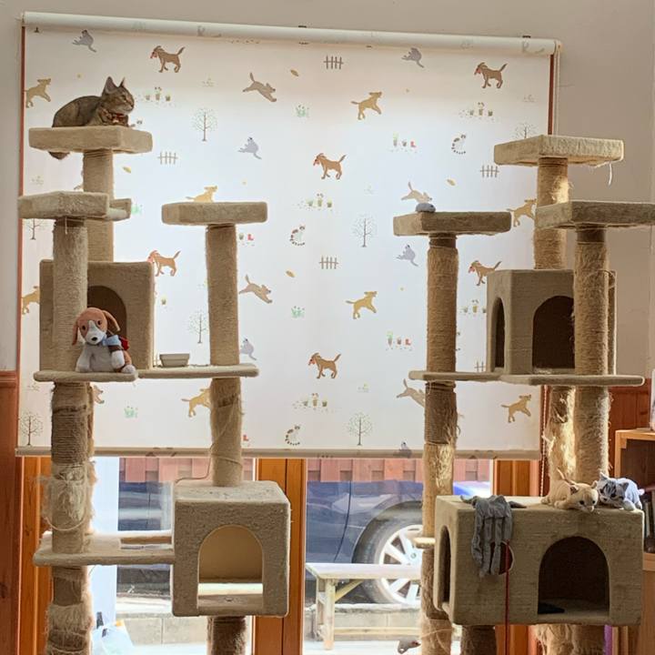 313c853b 5c8d 4170 912a 4b7c2dfd9c0d 1599981842445