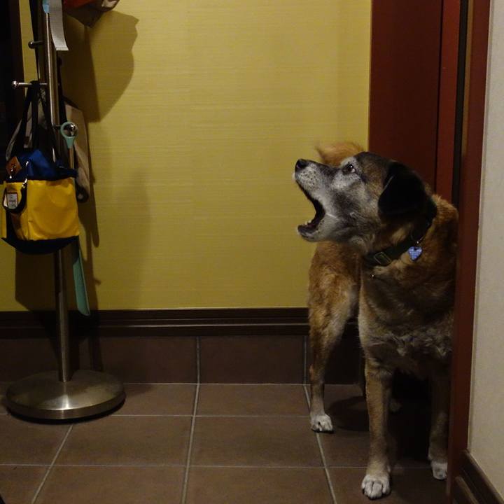 313cd148 e27a 4eb6 b623 6b4215245870 1551525188378