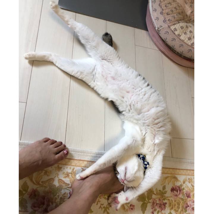 313d30a4 bef7 4190 812e 7de5b5cc7944 1627738524953