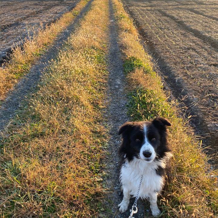 313dd8d0 22fd 47ac b11c e112f999f5f1 1607125930214