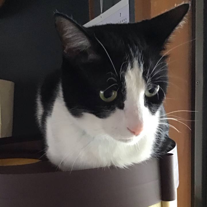 313e1608 bd91 48c3 b983 19a7e0a4e7ba 1717310030858