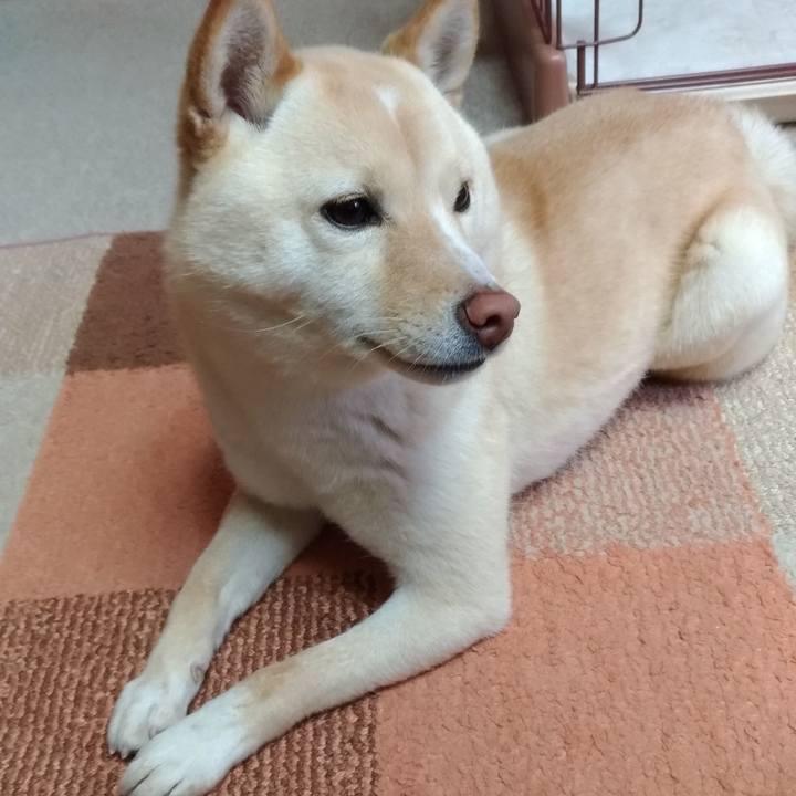 313e6af8 d741 460a 8d28 da14c55131fe 1551165778933