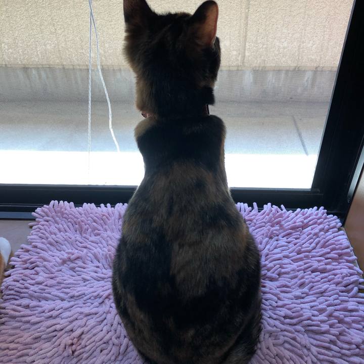 313e9f82 f323 45ee a091 4ce02e79a863 1555573464214