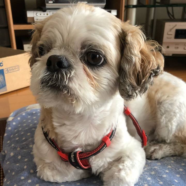 313ea7f6 78b0 44b7 8c6a ccb29241c3a0 1593221639718