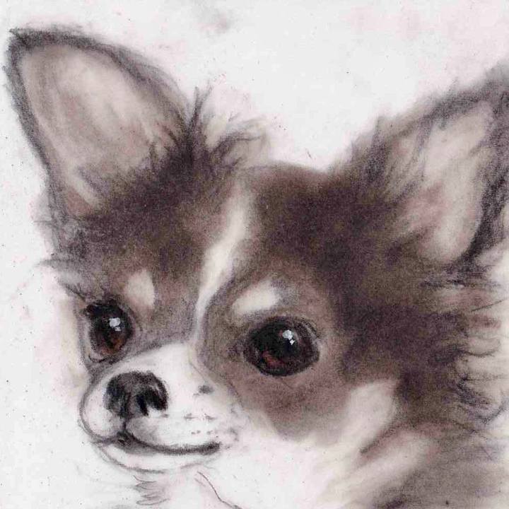 313ed9e4 f260 4da3 b212 c295e7e7d157 1658662627872