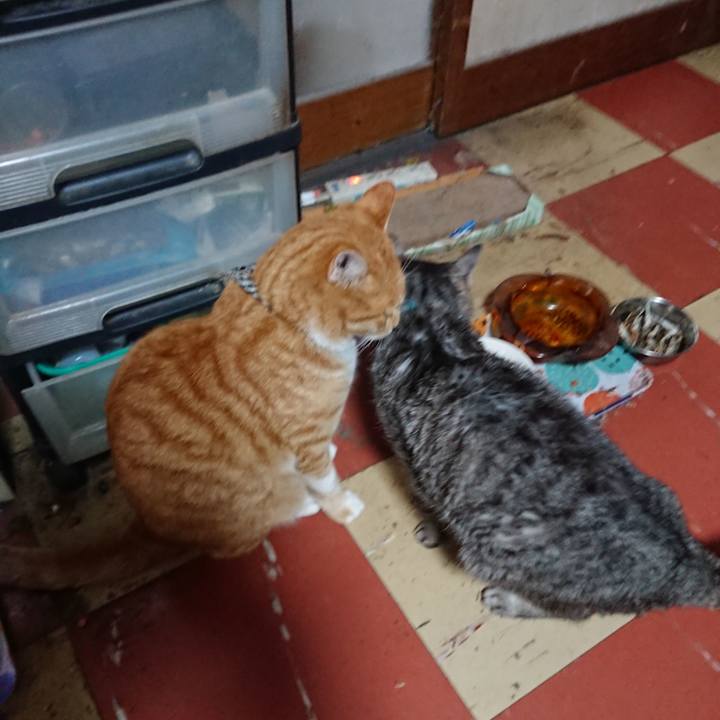 313f26f4 1da6 4d9e b7c7 d5f6c44a8fbd 1573943328701