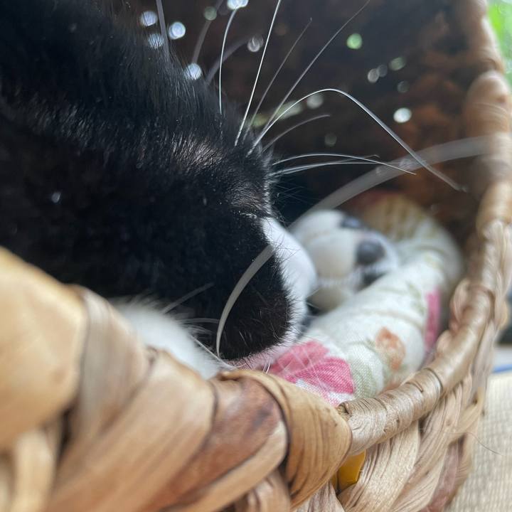 313f277b 6a96 4997 b107 a1c744df7257 1654903256668