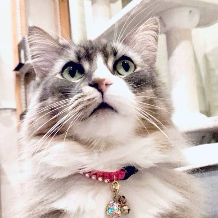 313f3876 610f 466b 906c cf80f3598714 1758124218563