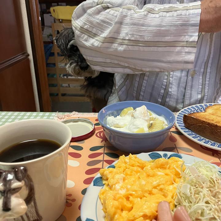 313f418a 9453 4eba 8cac 141bf4d9967a 1717041035053