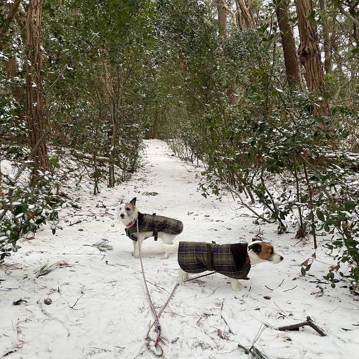 313f5fc3 8fd1 41b2 ae07 b01128deb969 1770505158998