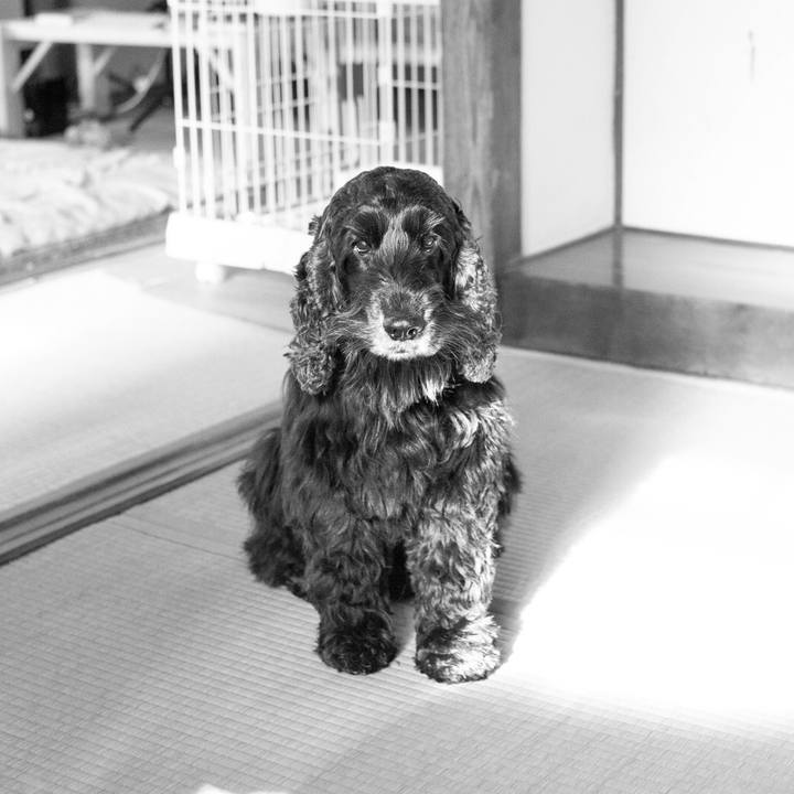 313f616f 7051 4e89 957d db7943a73d68 1549646682353