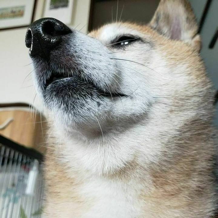 313fae06 dcda 4623 9996 411d2231ca90 1634687585193