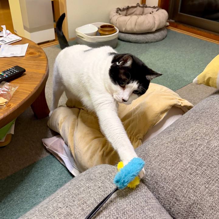 313faecc d290 4cff b47c 65697edb015c 1764335310647